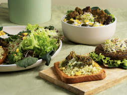 Screenshot 2025-11-18 at 2.21.13 PM